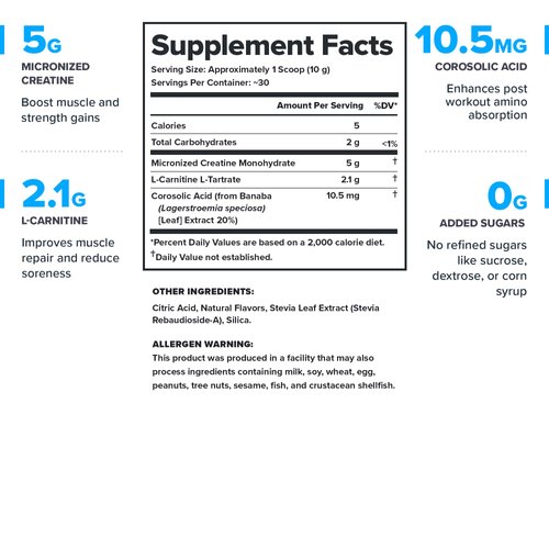 LEGION Recharge Post Workout Supplement - All Natural Muscle Builder & Recovery Drink with Micronized Creatine Monohydrate Naturally Sweetened & Flavored (Arctic Blast, 30 Servings Pack of 1)