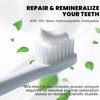 2PCS Hydroxyapatite Toothpastes 10%,Fluoride-Free Toothpaste, Gentle Mint, Fresh Breath, Daily Use for Oral Health 4.23oz (2pcs)