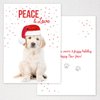 Canopy Street Labrador Love Holiday Card Pack / 25 Cards And Envelopes Pack/Festive Santa Hat Puppy Design With Greeting Inside/Dog Christmas And New Year Cards