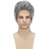Daiaces Mens Grey Wig Short Curly Wig Layered Natural Synthetic Men's Wig Party Cosplay Wig Mens Halloween Costumes Wig