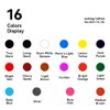 16PCS Tattoo Ink Color Set, Solong Tattoo Ink 1oz (30ml) Pigment Kit for Tattoo Kit Tattoo Ink Set TI302S-30-16