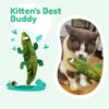 BubuKuku 2Pacs Catnip Toy for Indoor Cat - Soft Cat Toy - Natural Interactive Catnip Cat Kicker - Cute Cat Stuff - Cat nip Toys - Catnip for Cats