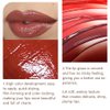 BINGBRUSH 2 Pcs Moisturizing and Silky Velvet Lipgloss Set, Matte Longwear Waterproof Smooth Lipstick for Makeup Collection - Nourishing Lipstick Lipgloss Lip Stain (set02)