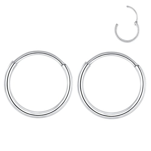 L7L7WM 20g 8mm Silver 316L Surgical Steel Endless Hoop Earrings Nose Rings Hinged Segment Rings Septum Rings Cartilage Earrings 20 gauge Conch Daith Helix Rook Tragus Piercing Jewelry Lip Rings