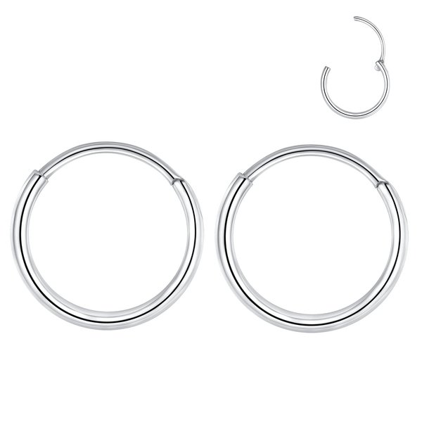 L7L7WM 20g 8mm Silver 316L Surgical Steel Endless Hoop Earrings Nose Rings Hinged Segment Rings Septum Rings Cartilage Earrings 20 gauge Conch Daith Helix Rook Tragus Piercing Jewelry Lip Rings