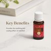 Young Living R.C. Essential Oil Blend | 15ml | A Powerful Combination of Cypress, Spruce, Myrtle, Pine, Eucalyptus Essential Oil, and More for a Refreshing and Uplifting Aroma