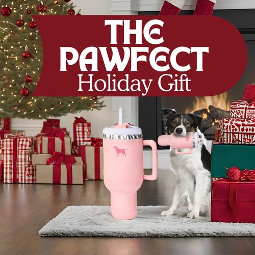 PUPROAR Pup Cup Tumbler Dog Toy – Squeaky Dog Toy, Funny Dog Toys for Birthdays, Plush Puppy Toys (Pink Peach Dust)