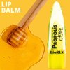 BioRLX Propolis and Honey Lip Balm Color Free (Twelve Lip Balms)