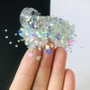 PrettyG 10 Grams/Pack - Sliver Rabbits Holographi Sequins Glitter - Festival Rave Beauty Makeup Face Body Nail Art Decoration LB100