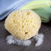 Neptune Natural Sea Wool Sponge - All Natural Honeycomb Renewable Sea Sponge, Jumbo, Approx. 7 Inches