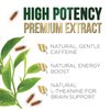 Green Tea Extract Capsules 1000mg 98% Standardized EGCG - 3X Strength for Natural Energy - Heart Support with Polyphenols - Gentle Caffeine - 60 Capsules