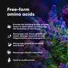 Brightwell Aquatics CoralAmino - Complex of Amino Acids for Corals - Coral food for Aquarium Coral Growth - Saltwater Aquarium Treatments, 2.02 fl oz