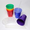 Rolling Sands 16 Oz. Reusable Plastic Stadium Cups with Lids, 6 Pack, USA Made Tumblers and Lids, Includes 6 Reusable Straws; Dishwasher Safe, Rainbow