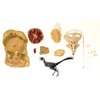 Creative Beast Studio Beasts of The Mesozoic: Accessory Pack: Desert Environment with Mononykus O. - 1/6th Scale Dinosaur Action Figure Set, Collectible, Hand-Painted