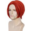 HUNIGIR Mens Red Wig Middle Part Red Anime Wig Red Cosplay Wig Boys Heat Resistant Synthetic Halloween Costume Wig (Red)