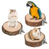 9 PCS Bird Perches Stand Toy, Natural Wood Parrot Perch Stand Bird Cage Branches Platform Accessories for Parakeets Cockatiels Conures Macaws Finches Love Birds