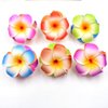 10Pcs 7cm Multicolor Hawaii Plumeria Flower Clips Hawaiian Flower Hair Barrettes Beach Party Hair Clips Artificial Tropical Flower Hairpins for Wedding Hair Accessories