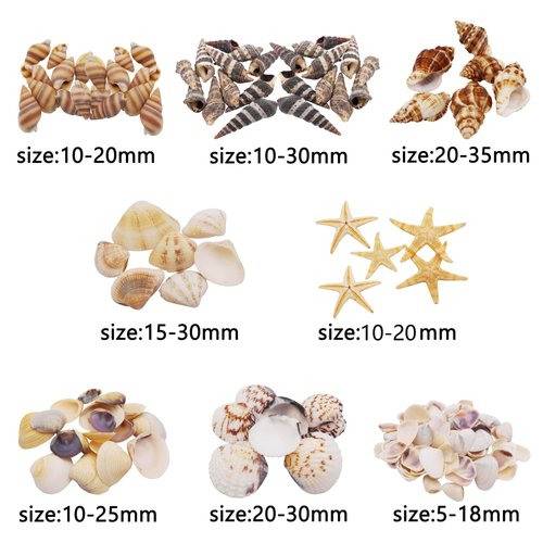 Julie Wang 1 Box of 200pcs Small Shell Conch Starfish Natural Tiny Ocean Seashells for DIY Miniature Beach Critter Decor Arts Crafts Projects Fish Tank Vase Filler