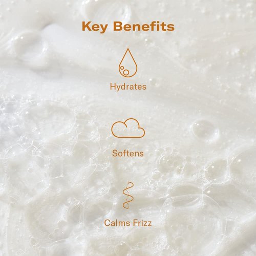 DAE Monsoon Moisture Milk Hydrating Shampoo - Hydrates, Calms Frizz, Softens, Helps Prevent Damage (10 oz)