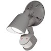 WAC Lighting, Endurance Single Spot Energy Star 15W LED Spot Light 5000K in Graphite