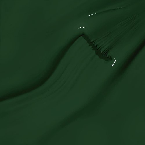 RARJSM Hunter Green Gel Polish, Emerald Green Nailpolish Soak Off UV LED Forest Green Nail Gel Polish Nail Art Starter Manicure Salon DIY at Home