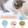 Catnip Toy - 6Pcs Cats Mouse Plush Cat Toys Realistic Cute Kitten Mice Filled Catnip for Cat Chew Toy1