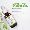 SKIN DEVA 1 fl oz Matrixyl 3000 with Hyaluronic Acid Serum Peptides Serum For Face Hydration with Hyaluronic Acid Stimulates Collagen Repair Mechanisms Lightweight Anti Aging Moisturizer