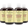 SheaMoisture Jamaican Black Castor Oil Strengthen & Restore Shampoo, Shea Butter, Peppermint & Apple Cider Vinegar, Sulfate Free, Chemically Processed Hair, 13 Fl Oz Ea (Pack of 4)