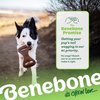 Benebone Dental Durable Dog Chew Toy for Aggressive Chewers, Real Bacon, Made in USA, Small