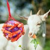 Tirifer Horse Treat Ball Carrot Feeder Toy Hanging Feeding Toy Goat Feeder Ball for Horse Goat Sheep Relieve Stress, Horse Stable Stall Paddock Rest