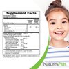 NaturesPlus Animal Parade Omega 3/6/9 Junior, Lemon Flavor - 90 Softgels - Promotes Children’s Immune, Skin, Eye & Nervous System Health - Non-GMO, Gluten Free - 45 Servings