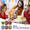 FillTouch 60 Pcs 9 Inch Dog Birthday Party Plates Disposable Dog Theme Decoration Plates Set Tableware for Kids Birthday Party Supplies Dessert Favors