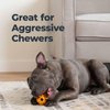 Oxyfresh Dog Dental Toy - Best Durable Rubber Dog Chew Toy for Aggressive Chewers - Removes Plaque, Cleans Teeth & Freshens Breath Without Brushing (Small)