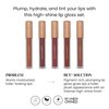 BFY Cosmetics 5-Pack Plumping Lip Gloss - Warm