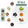 ROOT LABS 10-in-1 Alpha Shilajit Gummies | 4000 mg Pure Himalayan Shilajit, Tongkat Ali, Maca Root, 75% Fulvic Acid | ShilAbsorb Bioavailability Tech | Sugar-Free Vegan, 85+ Trace Minerals | 120 Pack