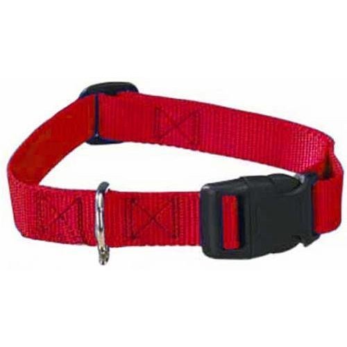 Zack & Zoey RED Dog Collar Bulk LOT Packs 4 Sizes Nylon Litter Band Puppy Rescue Shelter(XSmall - 6 to 10 Inch 5 Collars)