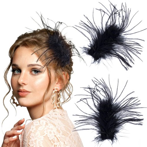 Joez Wonderful 2 Pcs Black Ostrich Hair Clips, Retro Feather Hair Pins, Artificial Swan Hairgrip, Feather Hair Jewelry Accessories for Women, Bride, Birthday, Party, Valentine, Wedding, Engagement