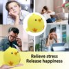 Chicken Stress Balls Squishy Toys for Kids Party Favors, Dough Ball, Squeeze Toys for Adults, Funny Cute Farm Animals Stress Ball Sensory Toys for Autism