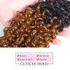 Ombre Brazilian Kinky Curly Hair 1 Bundles, 10A Remy Dark Blonde Curly Weave Human Hair Extensions 100g, 100% Unprocessed Brazilian Virgin Hair Color Brown 12 Inch