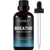 Breathe Essential Oil for Diffuser - Essential Oil Blend with Eucalyptus Peppermint Tea Tree and Peppermint, Breathe Easy Essential Oil for Humidifier, Rub, and Aromatherapy