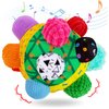 teytoy Baby Sensory Music Shake Dancing Ball Toy for Toddlers 1-3,Sensory Bumble Ball Toy for Kids, Montessori Sensory Toys Bouncing Toddler Ball Learning Toys Gifts for 1 Year Old Up