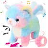 Hopearl Walking Cat Interactive Electronic Pet Singing Kitty Toy Remote Control Leash Animated Musical Kitten Miaow Wagging Tail Touch Recognition Gifts for Toddlers Birthday, Rainbow, 10.5''