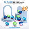 Nobleza Dog Tennis Balls 12 Pack, Durable Bouncy Floatable Squeaky Tennis Balls for Dogs for Fetch & Exercise, Training Interactive Natural Rubber Squeaky Dog Ball for Small Medium Dogs, 2.5in