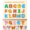 JoyCat Magnetic Letters, Alphabet ABC Fridge Magnets for Toddlers & Kids, Cute Educational Animal Toys, 26 Uppercase Refrigerator Magnets, Great Spelling Learning Gift for Preschool 2 3 4 5 Years Old