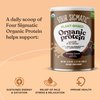 Four Sigmatic Organic Plant-Based Protein Powder Creamy Cacao Protein with Lion’s Mane, Chaga, Cordyceps and More | Clean Vegan Protein Elevated for Brain Function and Immune Support | 21.16 oz
