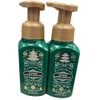 Bath and Body Works 2 Pack Winter Citrus Wreath Gentle Foaming Hand Soap 8.75 Oz