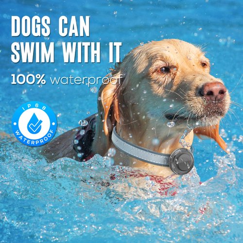 Waterproof Airtag Dog Collar Holder - (2pack) Ultra-Durable Plastic Pet Collar Case for Apple Airtags, Anti-Lost Air Tag Case for Dogs Cats Collar,Fits Most Collars-Transparent Black/White