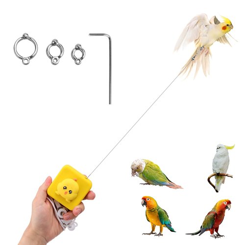 19.7Ft Bird Leash with 3 Sizes Foot Ring, Self Retractable Bird Harness Safety Parrot Leash for Flying Training Outdoor of Parakeet Cockatiels Budgies Longicauda