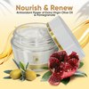 The Olive Temple Anti-Aging Night Face Cream - Infused with Olive Oil, Pomegranate and Cross-Linked Hyaluronic Acid - Binds Water 50X More than common hyaluronic acid, 1.7 fl. oz