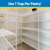 Pic-Corp Raid Pantry Moth Trap, 2 pk (PMOTHRAID)